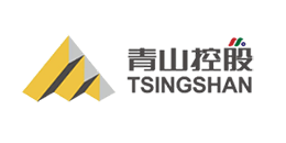 A logo marked with TSINGSHAN